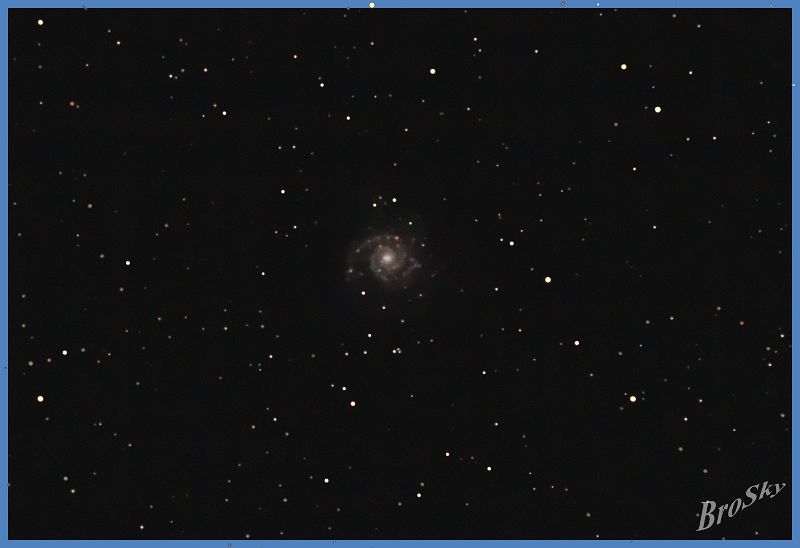 M74_250109.jpg -    Objekt: M74    Sternbild: Pisces - Fische Aufnahmeort: Senden Aufnahmedatum: 25.01.2009 Belichtung: 12 x 300 sec Optik: 127 mm Meade Triplett Apo Kamera: Canon 400D Astro mit Lumicon Deep Sky Filter 
