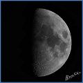 Mond_z60_21052010