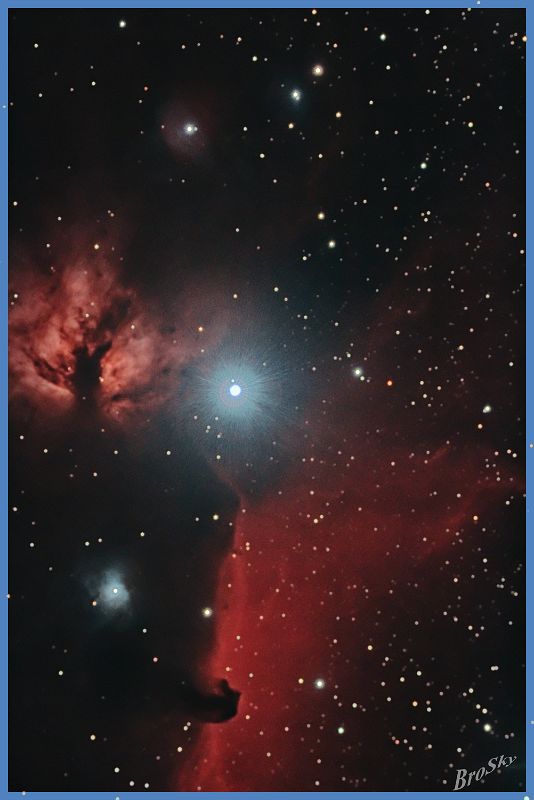 NGC2024_250109.jpg -    Objekt: NGC2024 - Flammennebel mit Pferdekopfnebel    Sternbild: Orion - Orion Aufnahmeort: Senden Aufnahmedatum: 25.01.2009 Belichtung: 16 x 300 sec Optik: 127 mm Meade Triplett Apo Kamera: Canon 400D Astro mit Lumicon Deep Sky Filter 