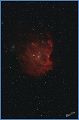 NGC2175_080311